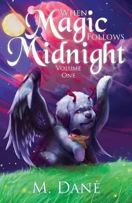 When Magic Follows Midnight by M Dane Prezzo Basso