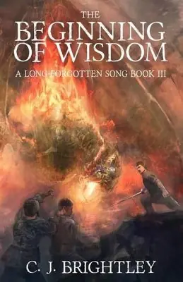 The Beginning of Wisdom by C J Brightley Promozione Esclusiva